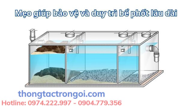 Các lưu ý giúp bảo vệ và duy trì bể phốt lâu dài