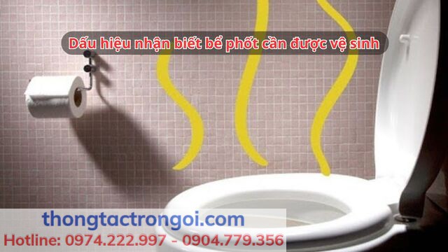 Bồn cầu có mùi lạ và thoát nước chậm do bể phốt bị đầy