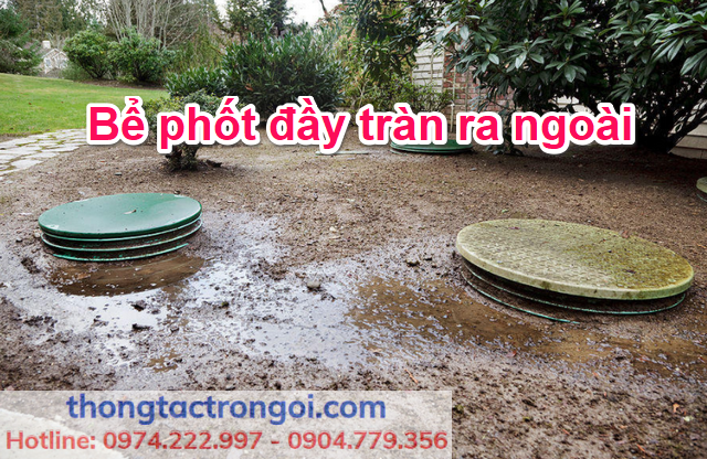 Bể phốt đầy tràn ra ngoài gây ẩm ướt và mất an toàn vệ sinh