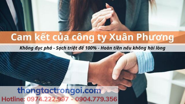 Cam kết về dịch vụ của công ty Xuân Phương