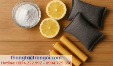Hướng dẫn khử mùi hôi thối trong nhà hiệu quả