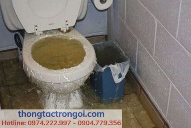 Bồn cầu bị tắc nước trào ngược trong nhà vệ sinh gia đình