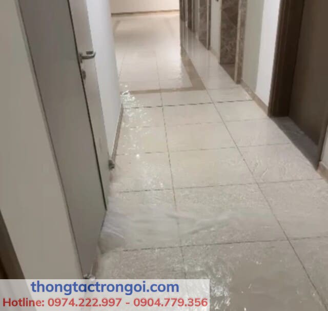 Nước tràn từ sàn toilet do tắc cống tại căn hộ tầng cao chung cư