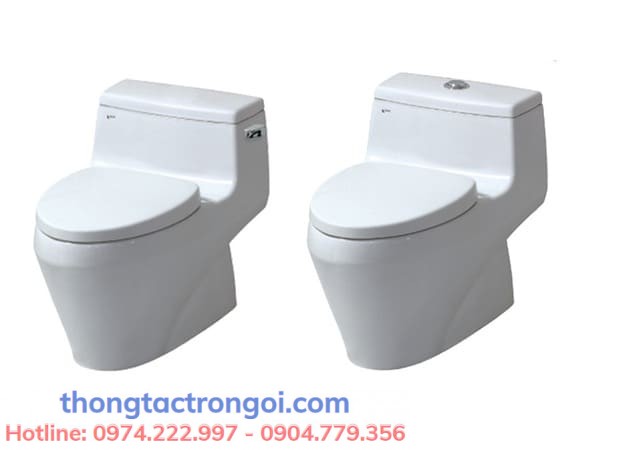 So sánh các loại bộ xả bồn cầu: 1 nhấn, 2 nhấn, cần gạt