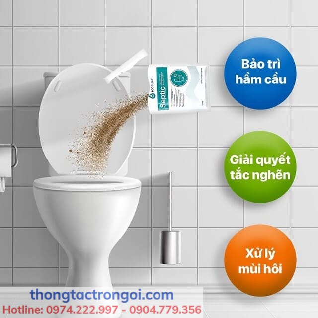 Men vi sinh đổ vào bồn cầu giúp phân hủy chất thải và giảm mùi