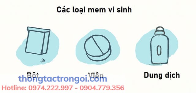 Phân biệt các loại men vi sinh bồn cầu dạng bột, viên và dung dịch