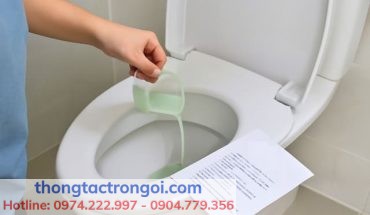 Cách đổ men vi sinh vào bồn cầu đúng cách tại nhà