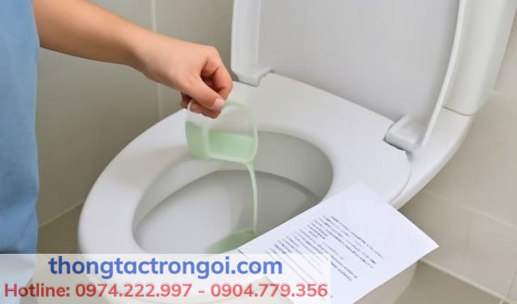 Cách đổ men vi sinh vào bồn cầu đúng cách tại nhà