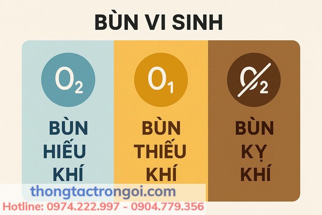Phân biệt bùn vi sinh hiếu khí, thiếu khí và kỵ khí