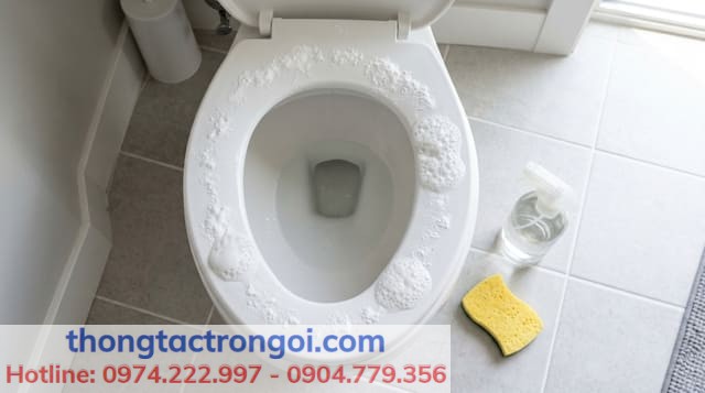 Hướng dẫn chi tiết cách tẩy nắp bồn cầu bị ố vàng bằng hỗn hợp baking soda và giấm trắng.